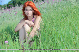 Violla A desnuda abierta de piernas en medio de un campo, foto 16